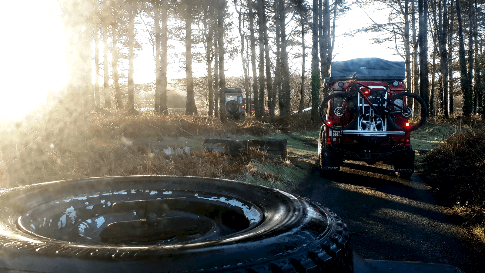 Land Rover in a Forest