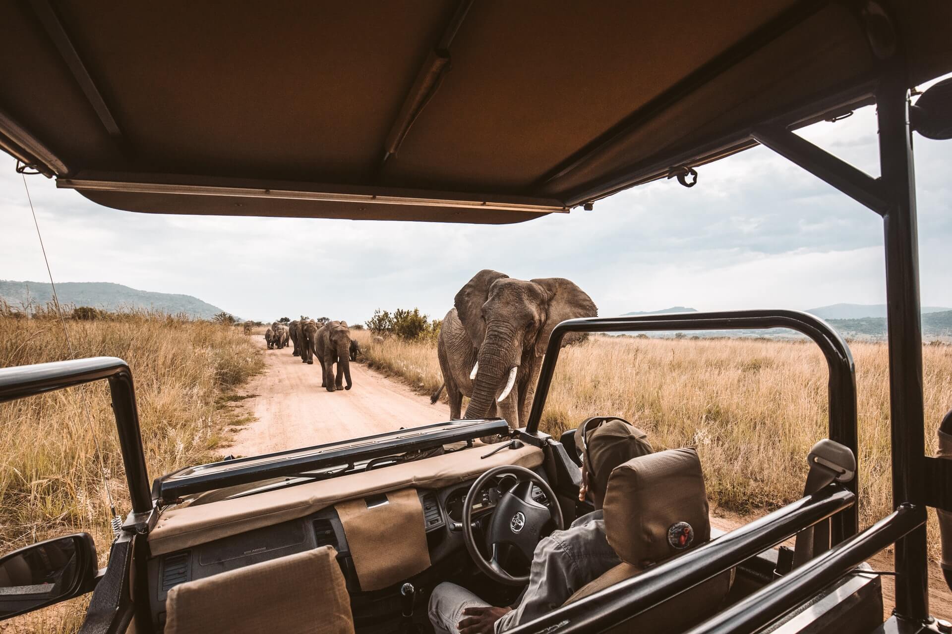 Safari vehicle on game drive