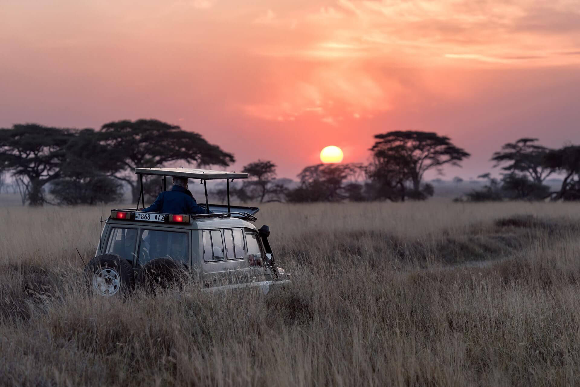 African sunset on safari