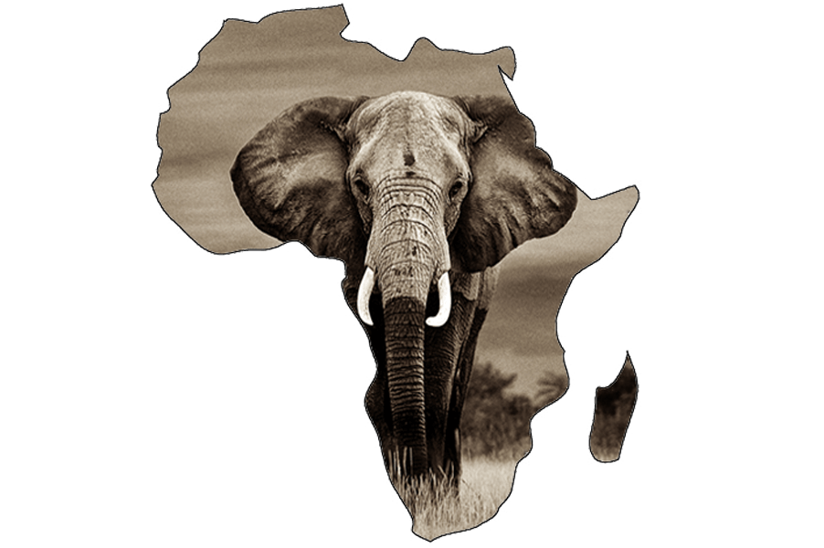 African map outline with elephant image